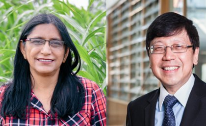 Professor Neena Mitter and Professor Chien Ming Wang Professor Neena Mitter and Professor Chien Ming Wang